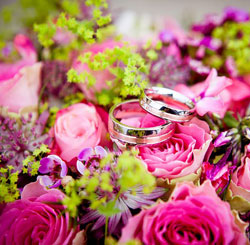 快速切换主题的DDOS网页端源码